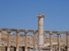 Jerash 